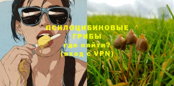 apvp Алексин